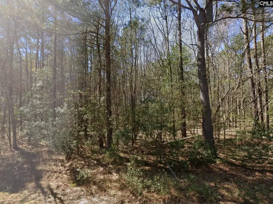 0 Barnhart Road, Orangeburg, SC 29115 - #3