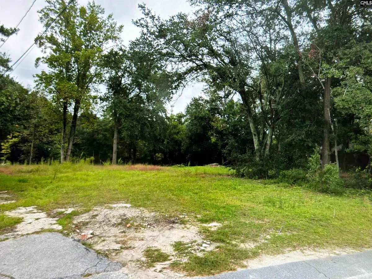 126 Broomfield Street, Columbia, SC 29203 - #1