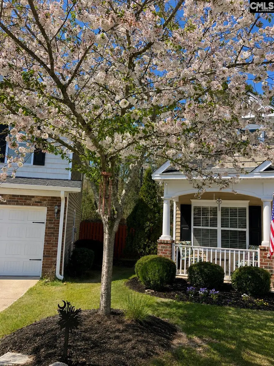 144 Cambridge Hill Drive, Lexington, SC 29072 - #2