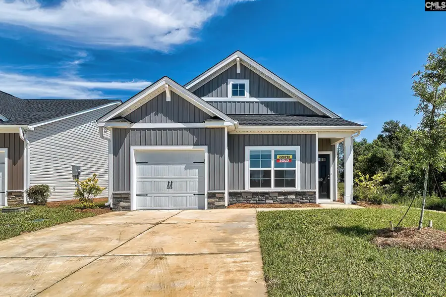 128 Calm Citadel Drive, Pelion, SC 29123 - #2