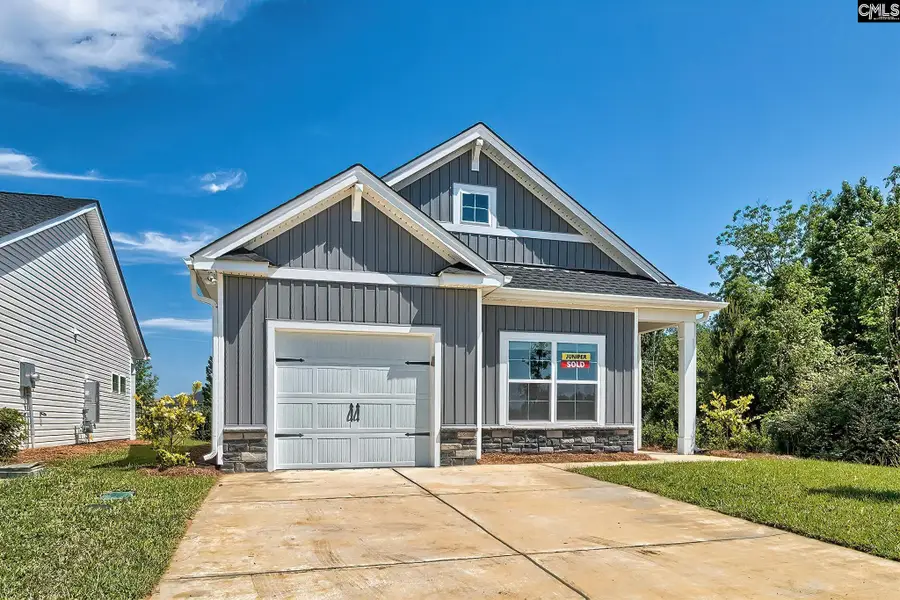 128 Calm Citadel Drive, Pelion, SC 29123 - #3