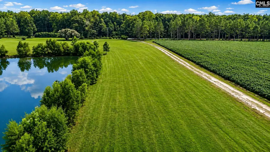 703 Bay Road, Rowesville, SC 29133 - #3