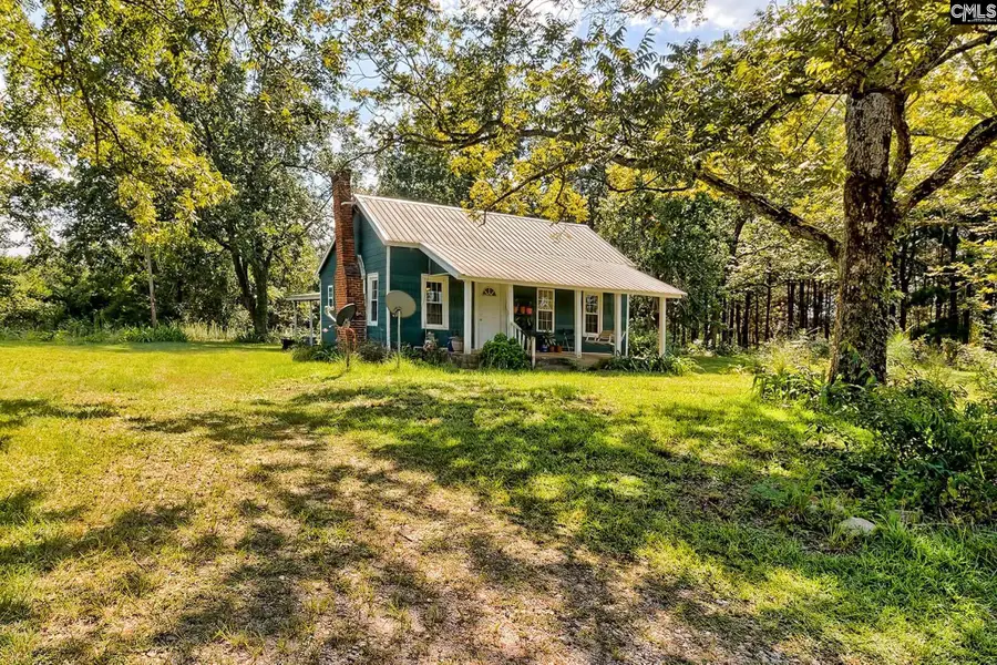 276 Bodie Road, Pelion, SC 29123 - #2
