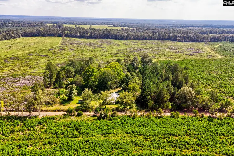 276 Bodie Road, Pelion, SC 29123 - #3