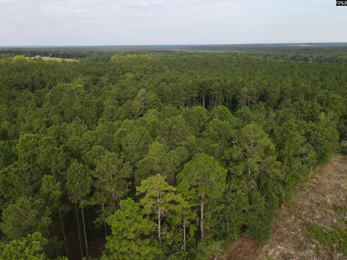 Tract 1 Bridle Path Road, Camden, SC 29020 - #1