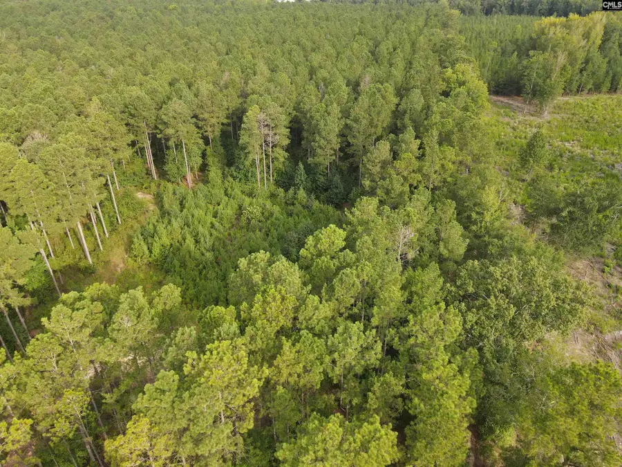 Tract 3 Bridle Path Road, Camden, SC 29020 - #3