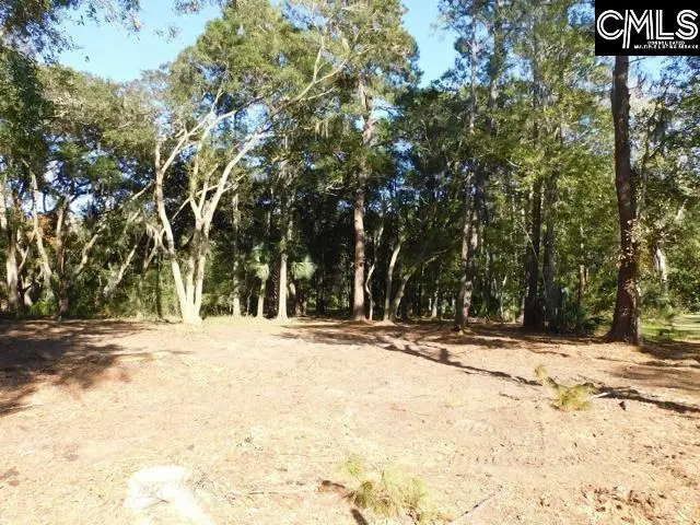 8139 Murphy Creek Court, Edisto Island, SC 29438 - #1