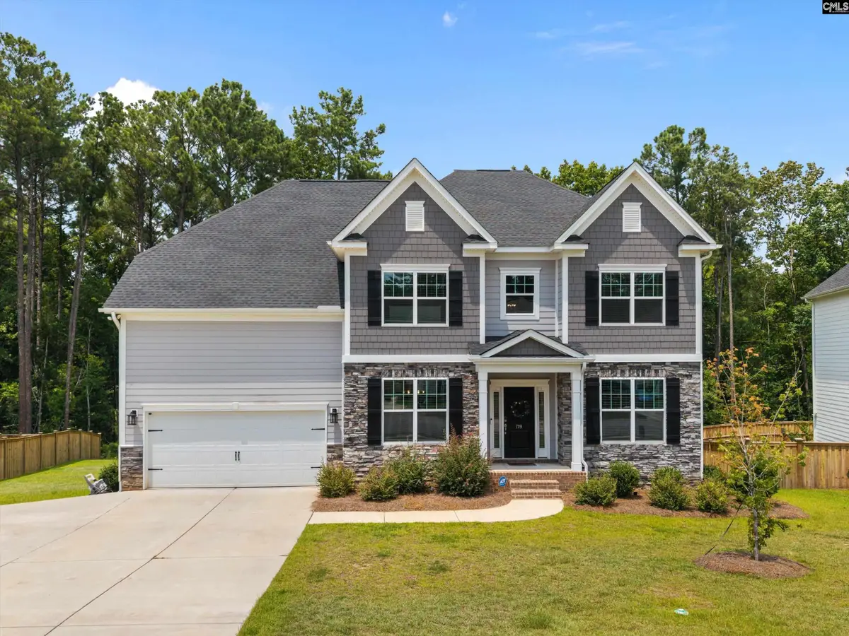 719 Cold Springs Lane, Irmo, SC 29063 - #1