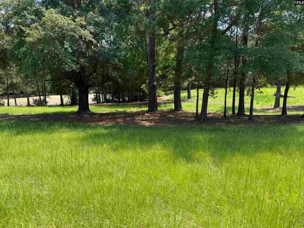 812 NE Sandfield Road, Blythewood, SC 20916
