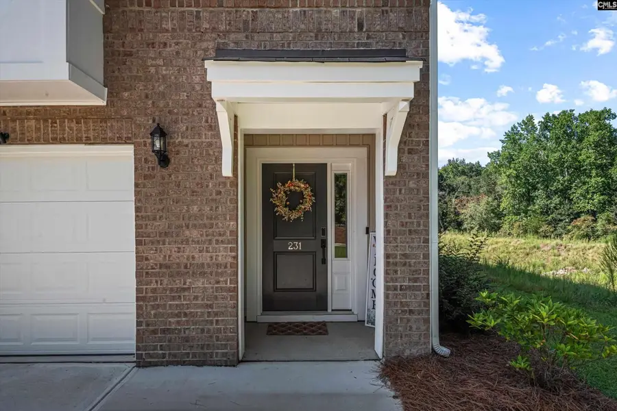 231 Flatsedge Court, Lexington, SC 29072 - #3