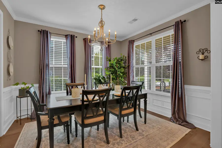 313 Cape Romain Court, Lexington, SC 29072 - #2