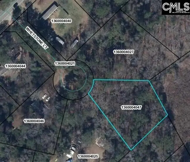 40 Whetstone Court, Dalzell, SC 29040 - #2