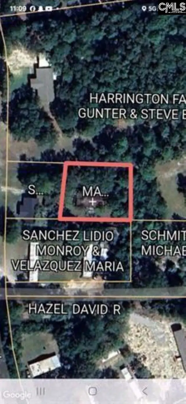 807A Laurel Road, Lexington, SC 29073 - #1