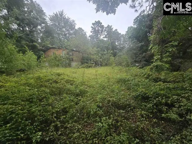 807A Laurel Road, Lexington, SC 29073 - #2