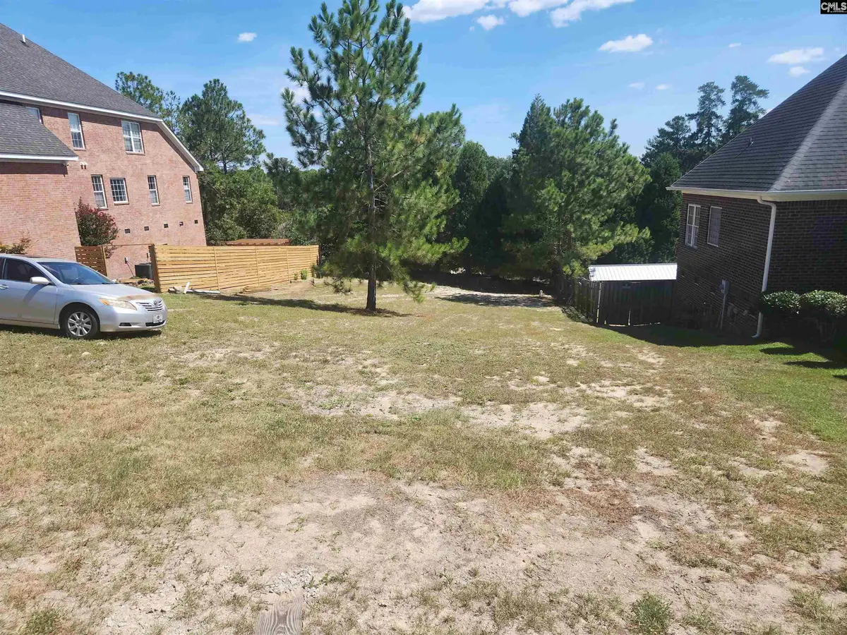 217 Polo Hill Road, Columbia, SC 29223 - #1