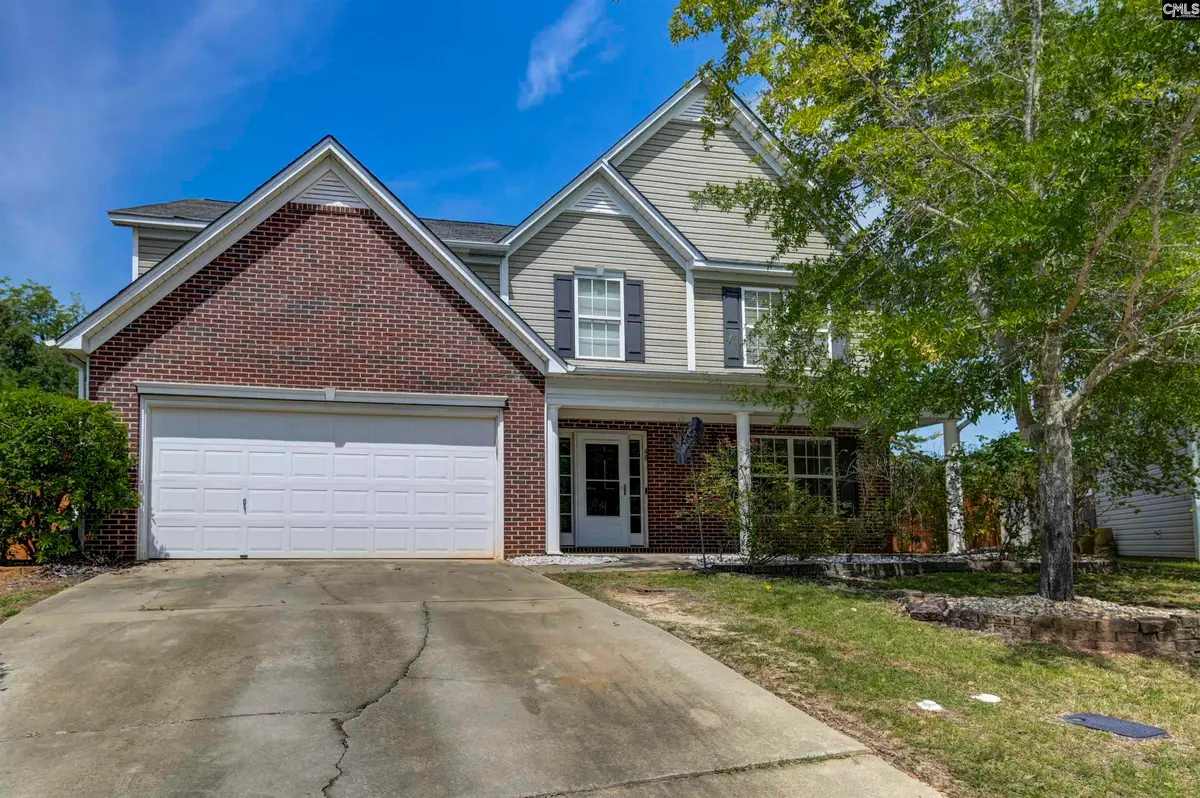 48 Rustyred Court, Chapin, SC 29036 - #1