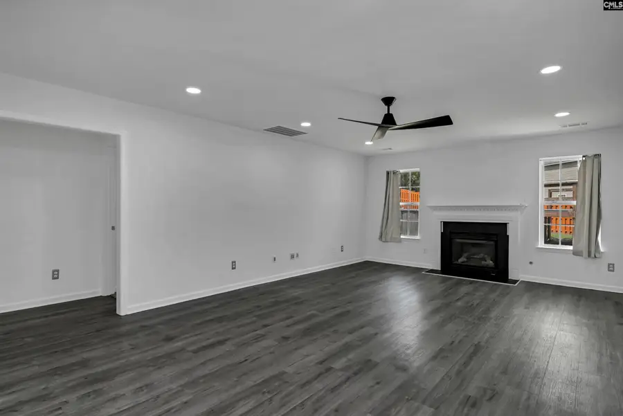 48 Rustyred Court, Chapin, SC 29036 - #3