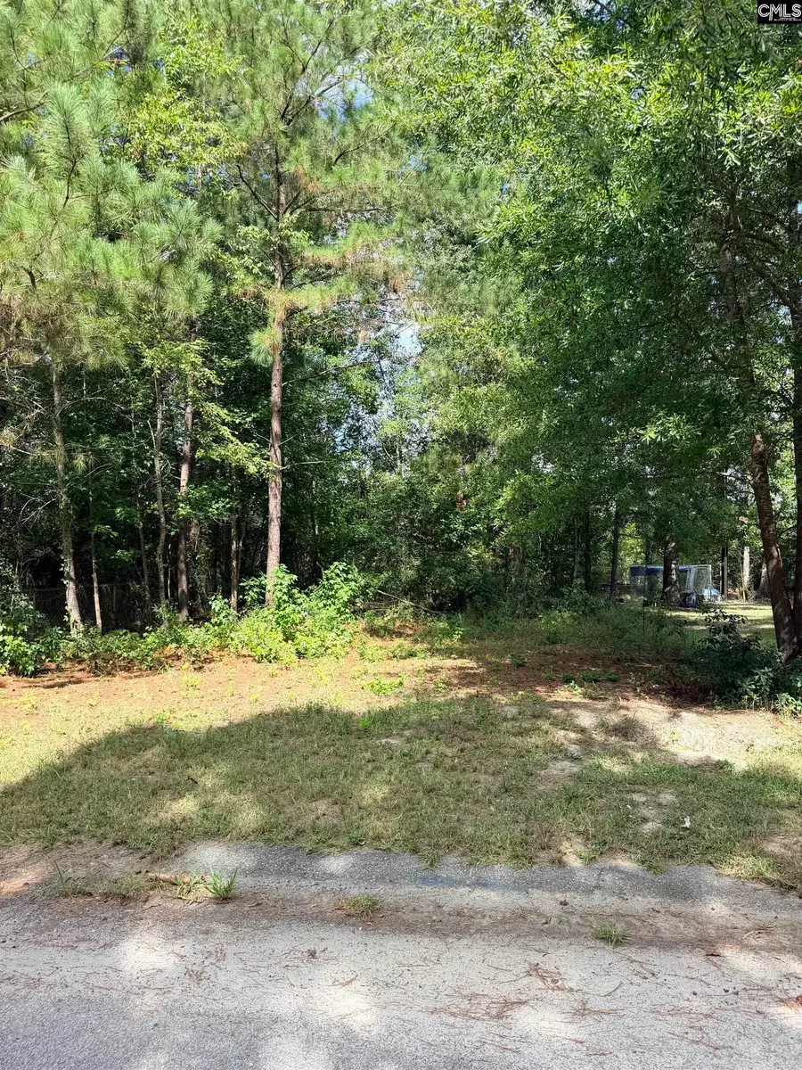 219 Nikon Circle, West Columbia, SC 29172 - #2