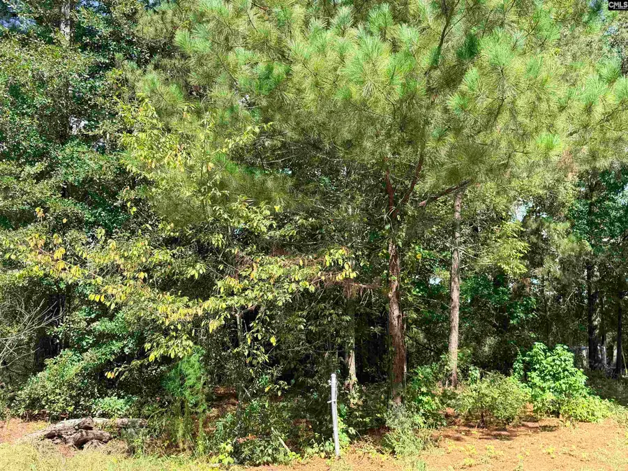 219 Nikon Circle, West Columbia, SC 29172 - #3