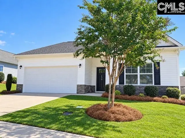 430 Silver Anchor Drive, Columbia, SC 29212 - #1