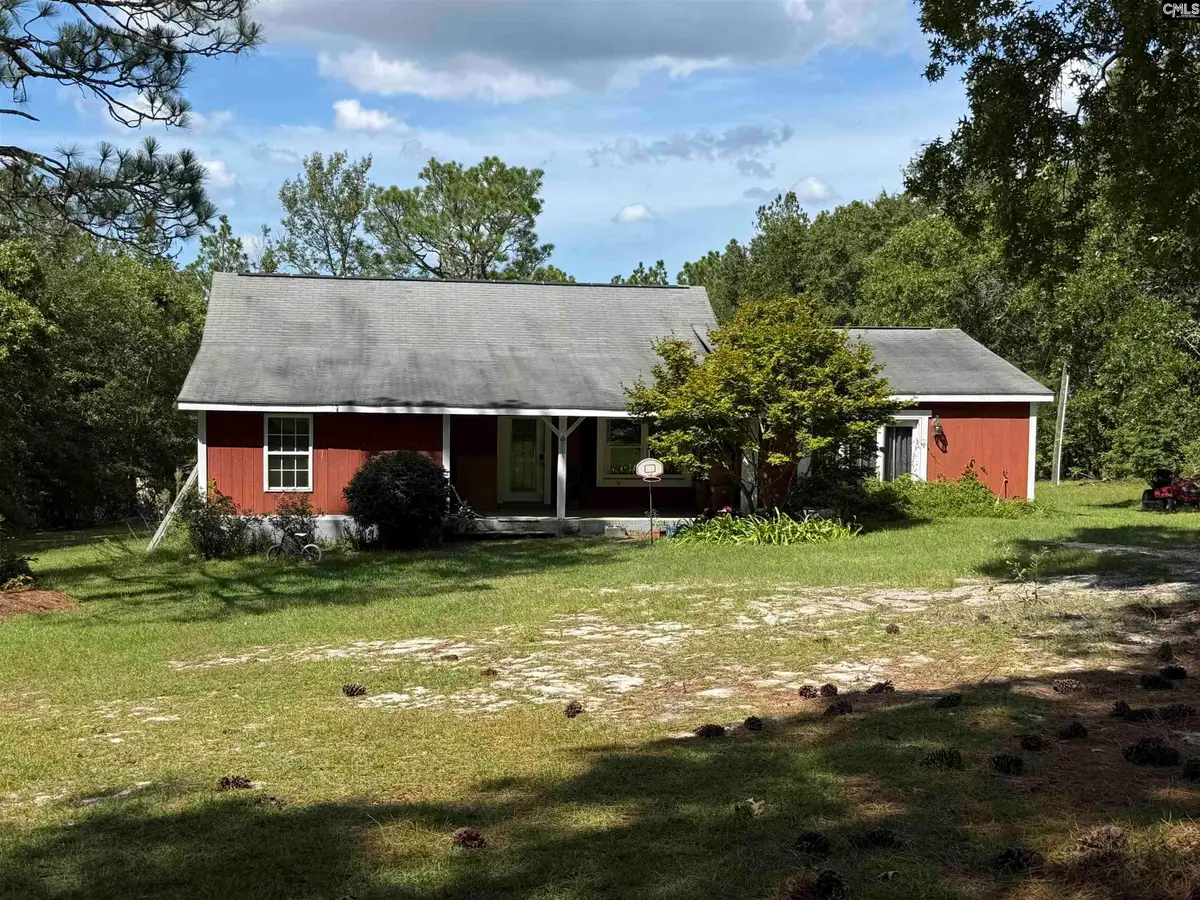 180 Crystal Springs Drive, Lexington, SC 29073 - #1