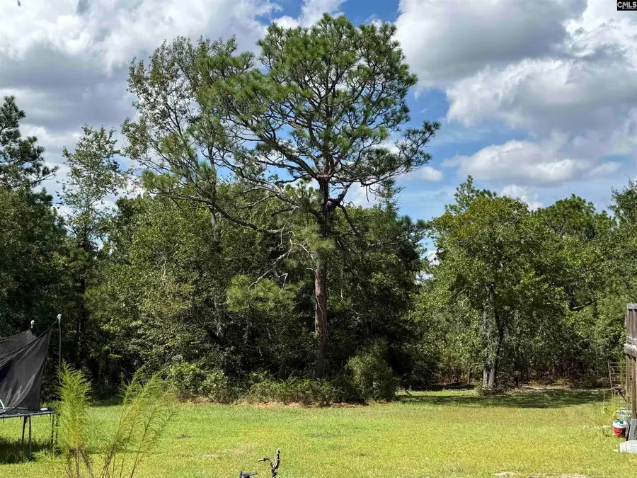 180 Crystal Springs Drive, Lexington, SC 29073 - #2