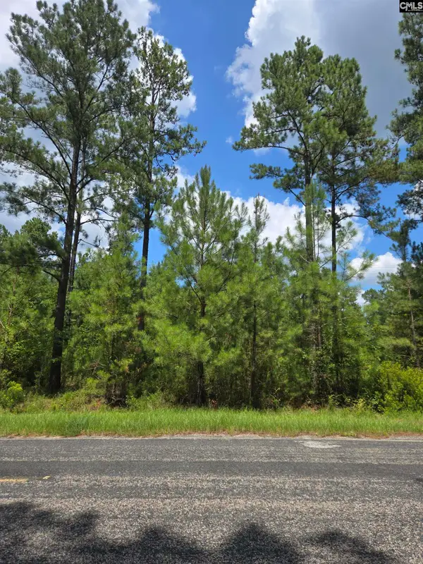 2374 Mount Hebron Road #1, Cassatt, SC 29032