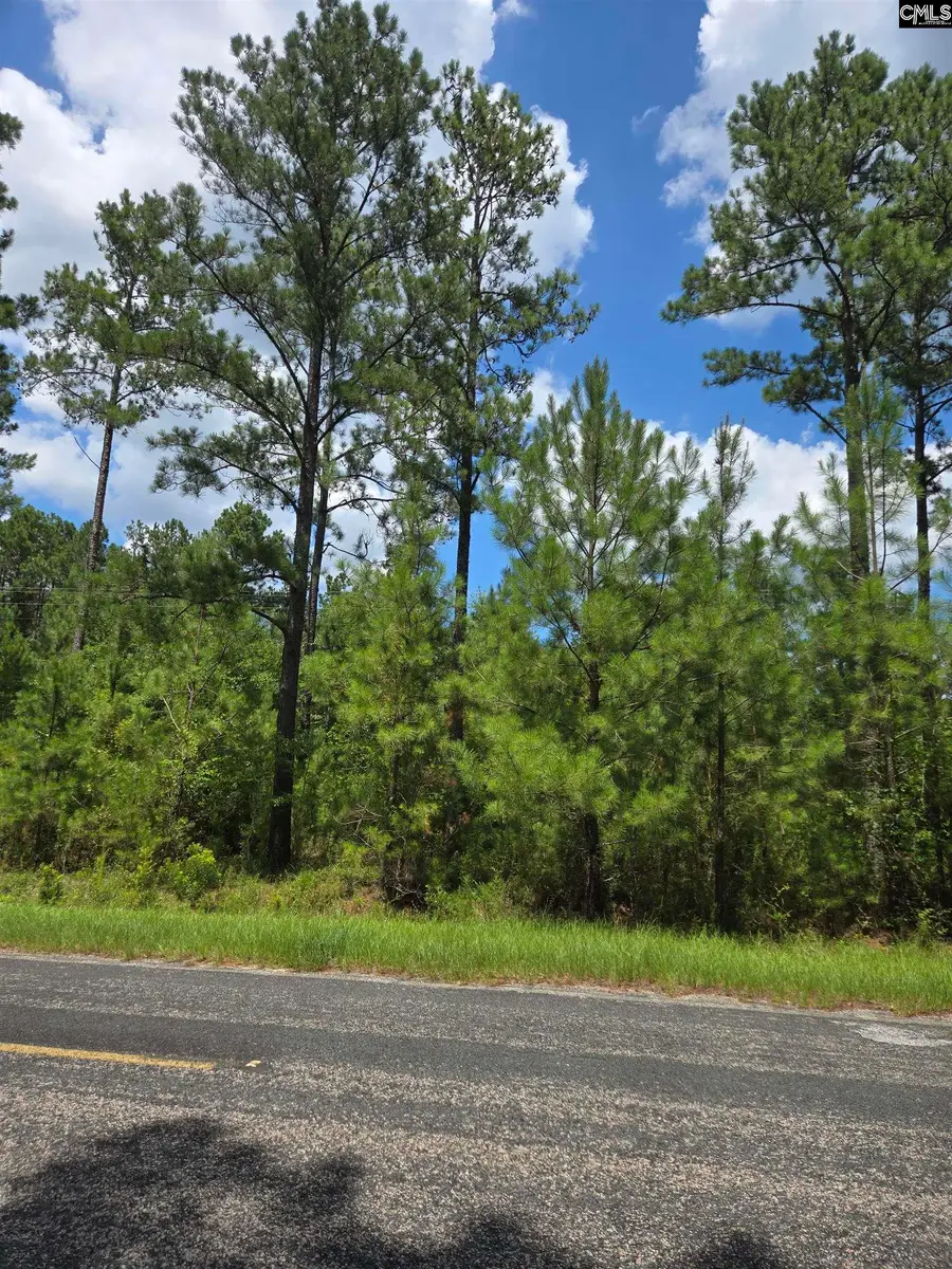 2374 Mount Hebron Road #1, Cassatt, SC 29032 - #2