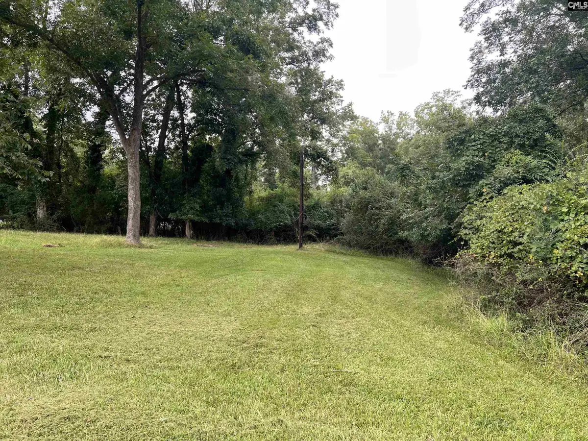 2109 Benedict Street, Newberry, SC 29108 - #1