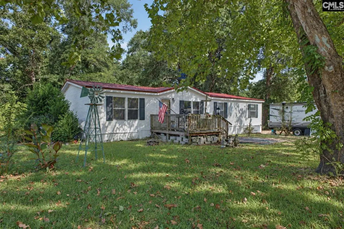 126 Airport Road, Wagener, SC 29164 - #1