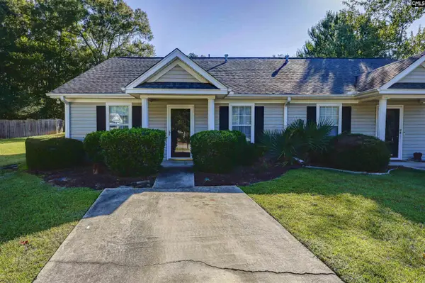 102 Fair Haven Way, Chapin, SC 29036