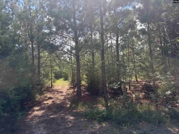 0 Lathrop Road, Pomaria, SC 29126