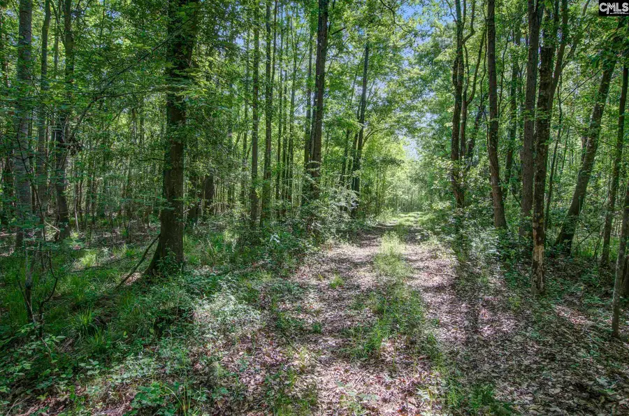 TBD New Meadow Drive, Reevesville, SC 29471 - #2