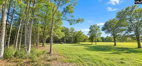 9998 Carvers Bay Road, Hemingway, SC 29554