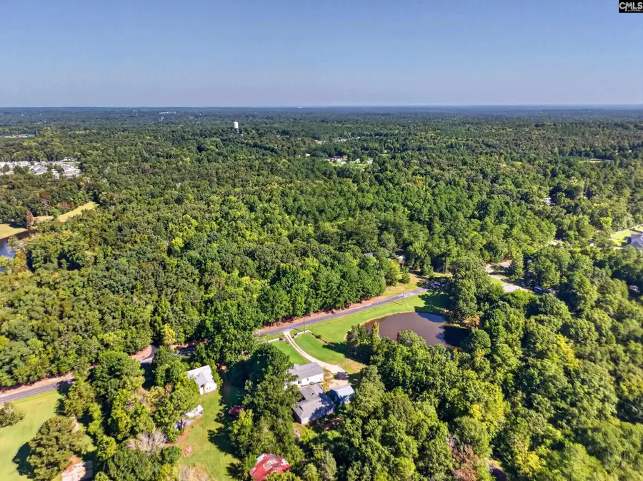 133 Newberg Road, Chapin, SC 29036 - #2