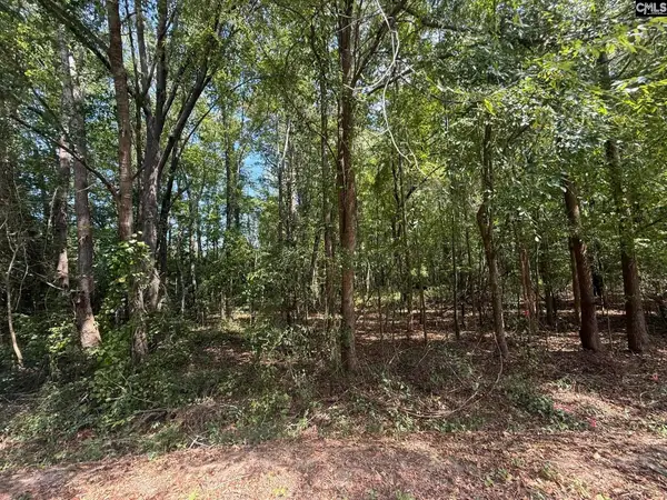 3938 Timrod Road, Bethune, SC 29009