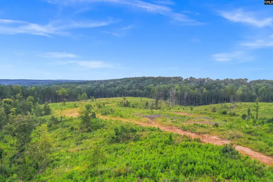 0000 Penner Road #7, Jenkinsville, SC 29065 - #3