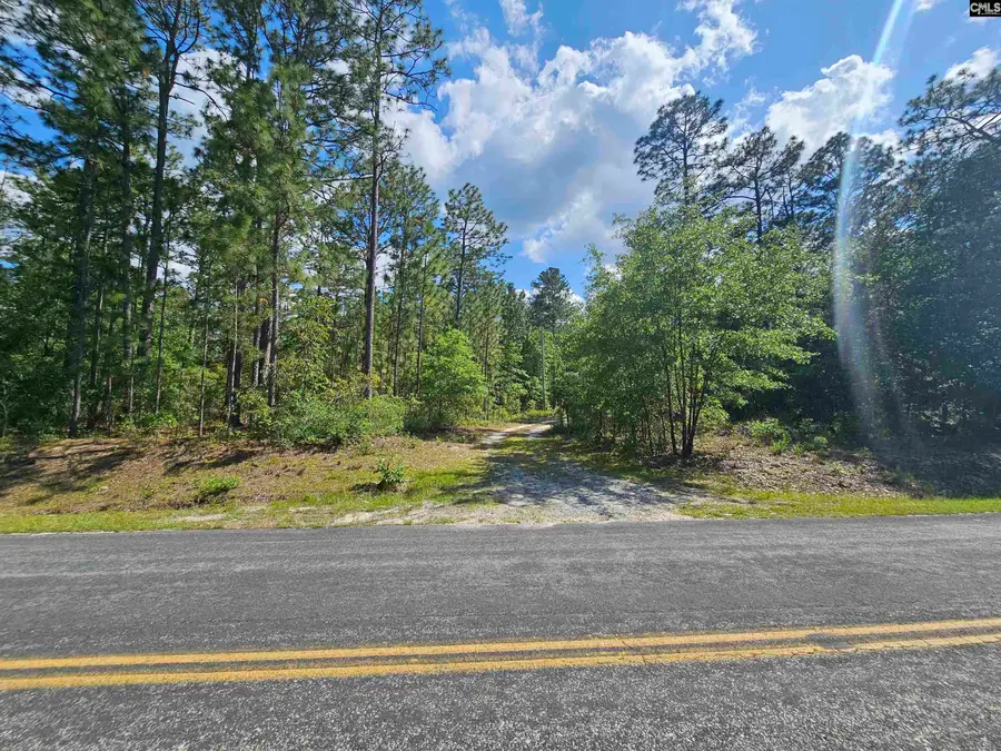 170 Happy Ridge Drive, West Columbia, SC 29170 - #2