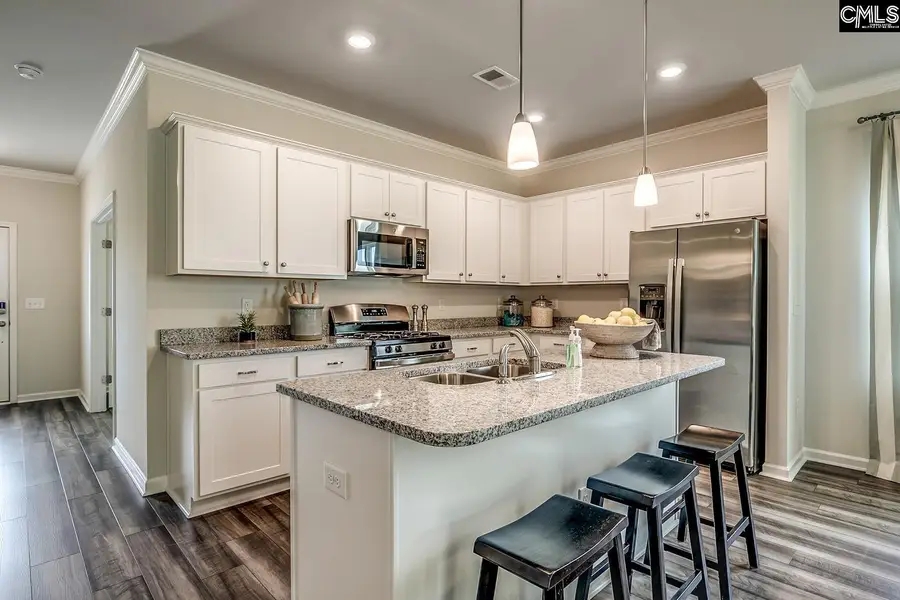 214 Denington Drive, Elgin, SC 29045 - #3