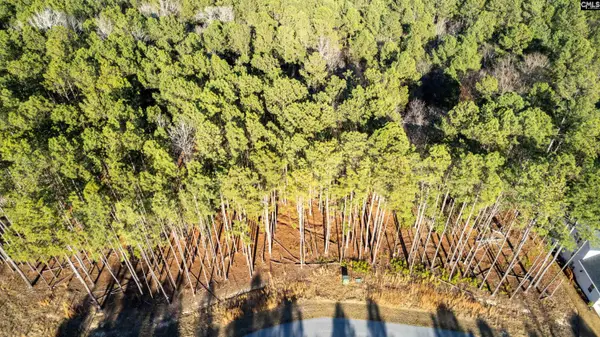 Lot 83 Timber Trail Lane, Prosperity, SC 29217