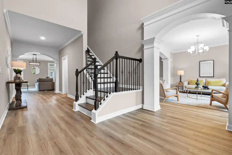 220 Indigo Hills Drive, Chapin, SC 29036 - #2