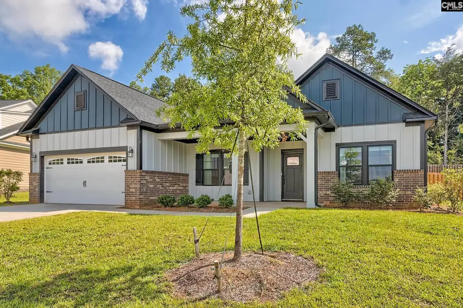 256 Murray Falls Lane, Chapin, SC 29036 - #3