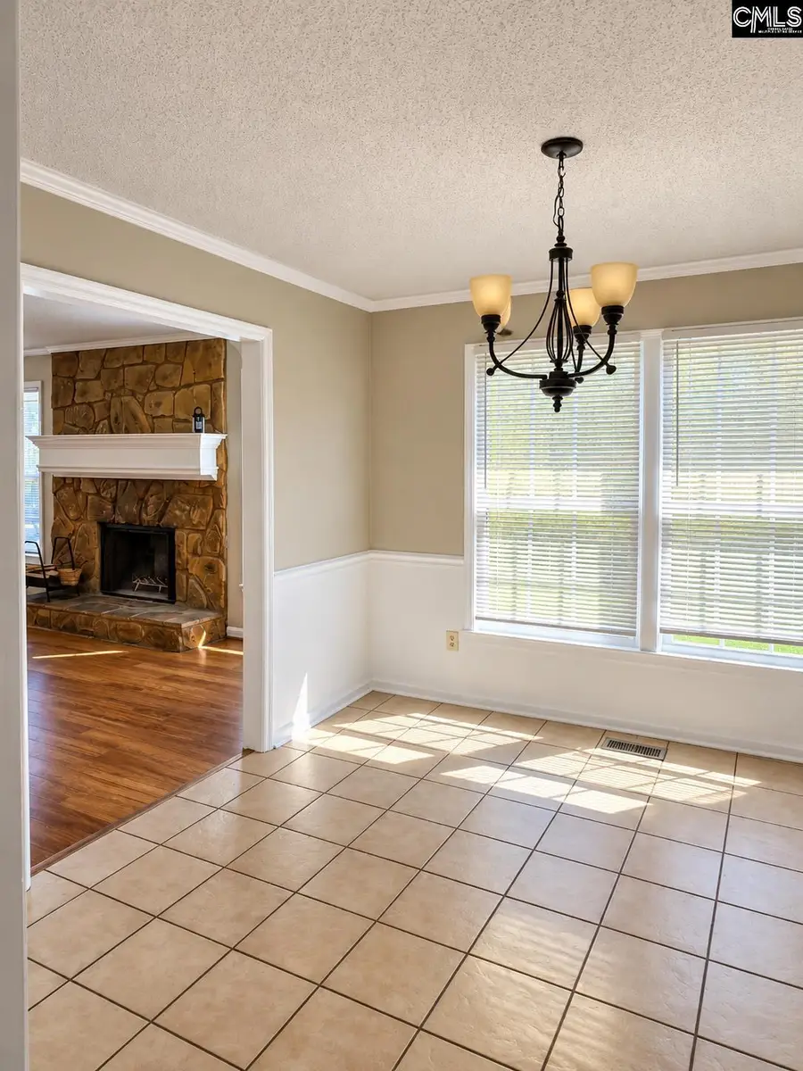 106 Darian Drive, Lexington, SC 29073 - #3
