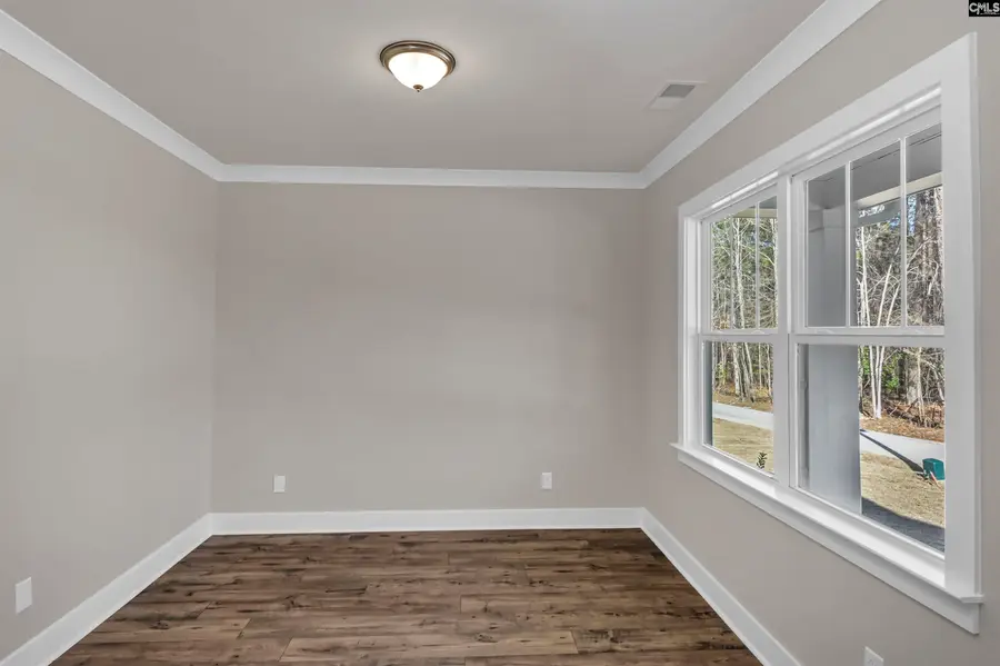111 Greengarden Drive, Chapin, SC 29036 - #3