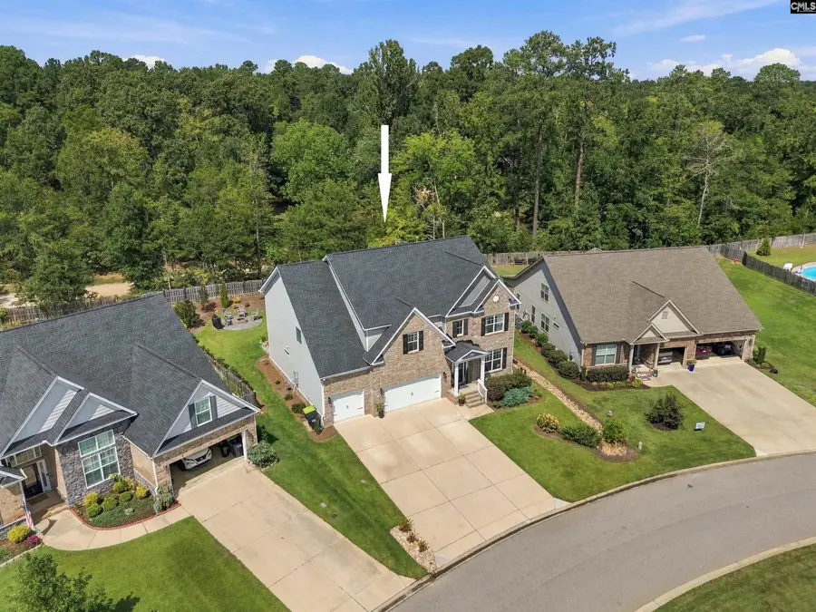 331 Springbrook Way, Chapin, SC 29036 - #3