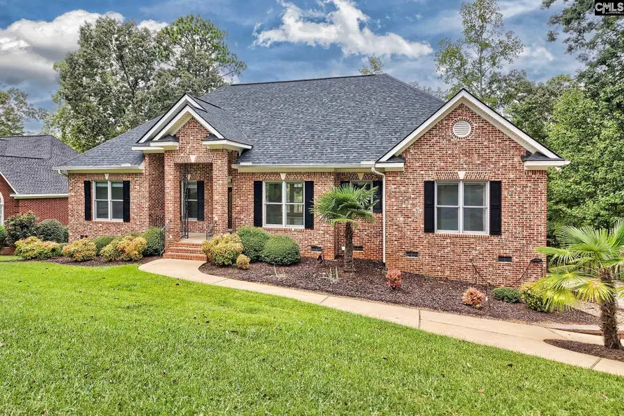 420 Lookover Pointe Drive, Chapin, SC 29036 - #2