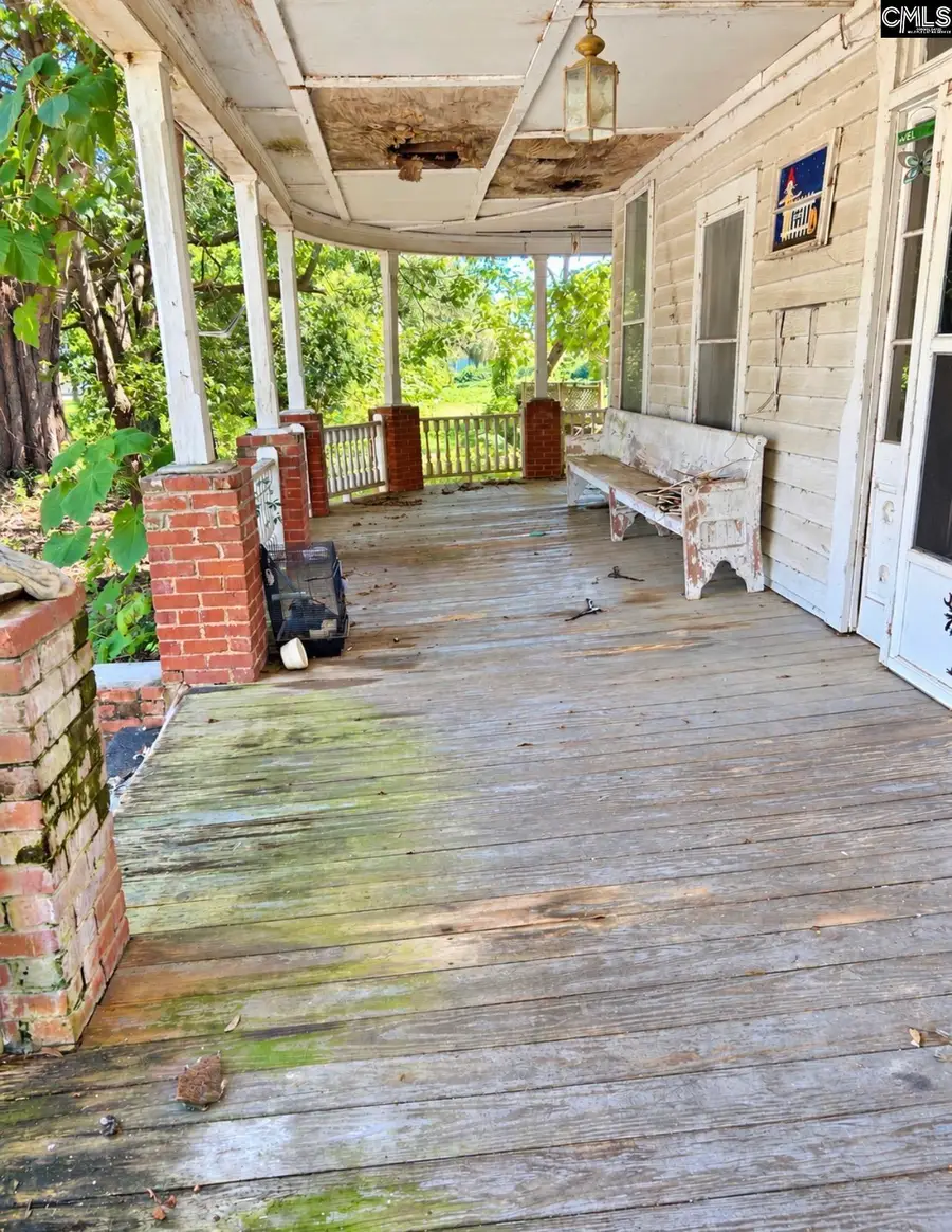 235 Sumter Street, Cope, SC 29038 - #2