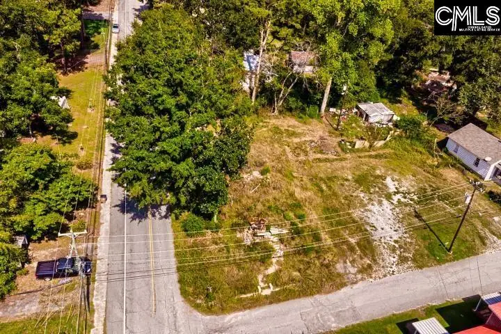 308 Nelson Street, Whitmire, SC 29178 - #3