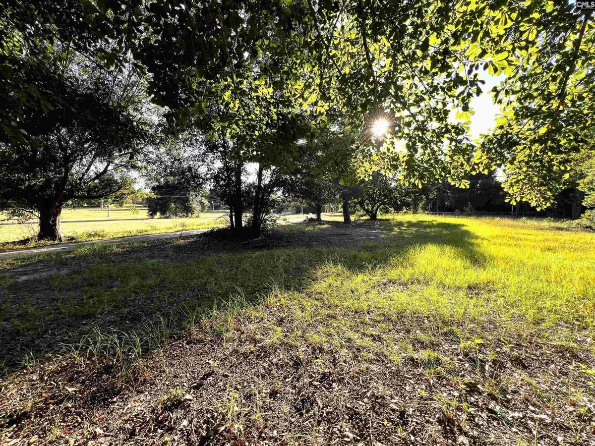 301 Blue Sky Drive, West Columbia, SC 29172 - #1