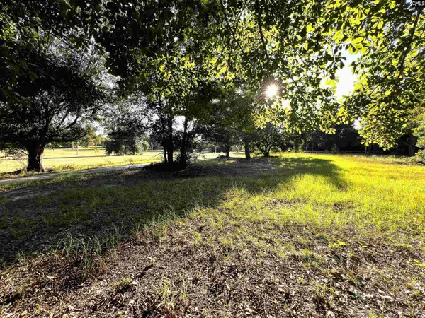 301 Blue Sky Drive, West Columbia, SC 29172